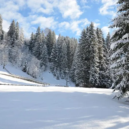 Haus Am Sunnfeld Apartament Alpbach
